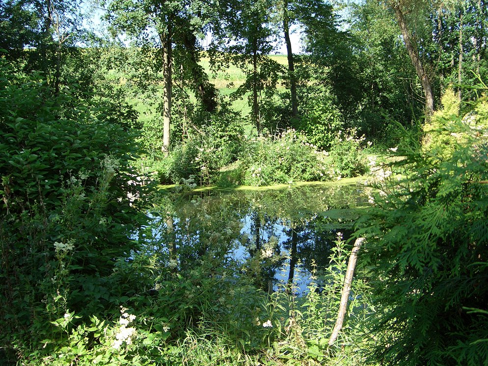 weiher_07x.jpg