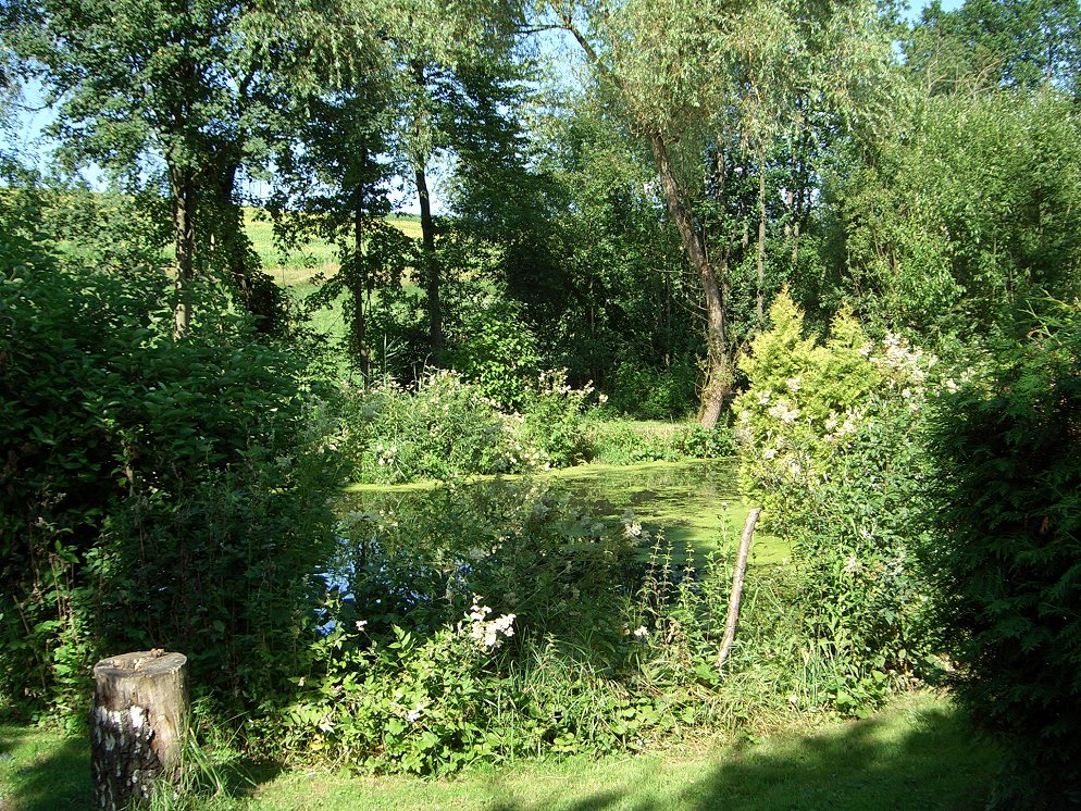 weiher_08x.jpg